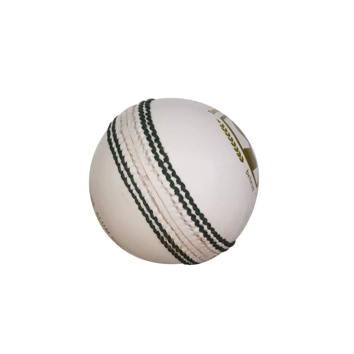 SG Club Cricket Ball (White)