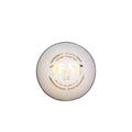 SG Test LE White Cricket Ball