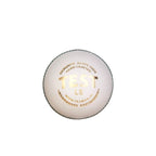 SG Test LE White Cricket Ball