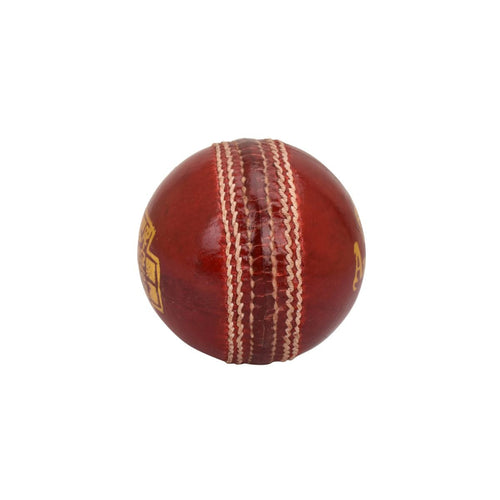 BDM Ambassador Cricket Ball
