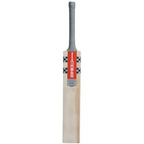 Gray-Nicolls Predator Beast English Willow Cricket Bat