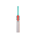 Gray-Nicolls Supra Blazer Kashmir Willow Cricket Bat