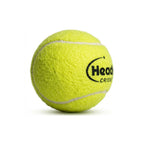 Headly Heavy Tennis Cricket Ball