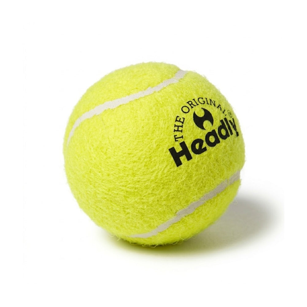Headly Heavy Cricket Ball