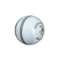 Kookaburra Speed Cricket Ball