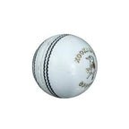 Kookaburra Speed Cricket Ball