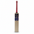SS Players 3000 English Willow Cricket Bat