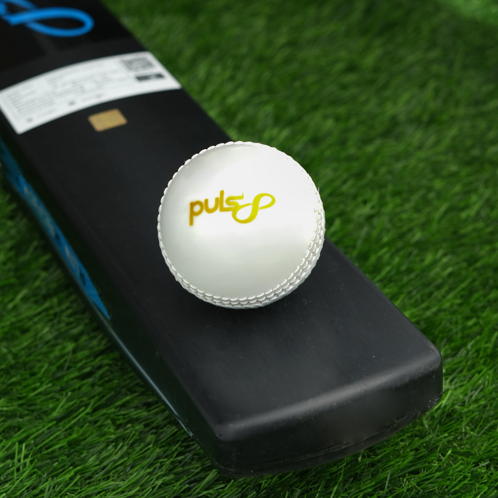 Puls8 Incredible Cricket Ball