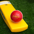 Puls8 Incredible Cricket Ball