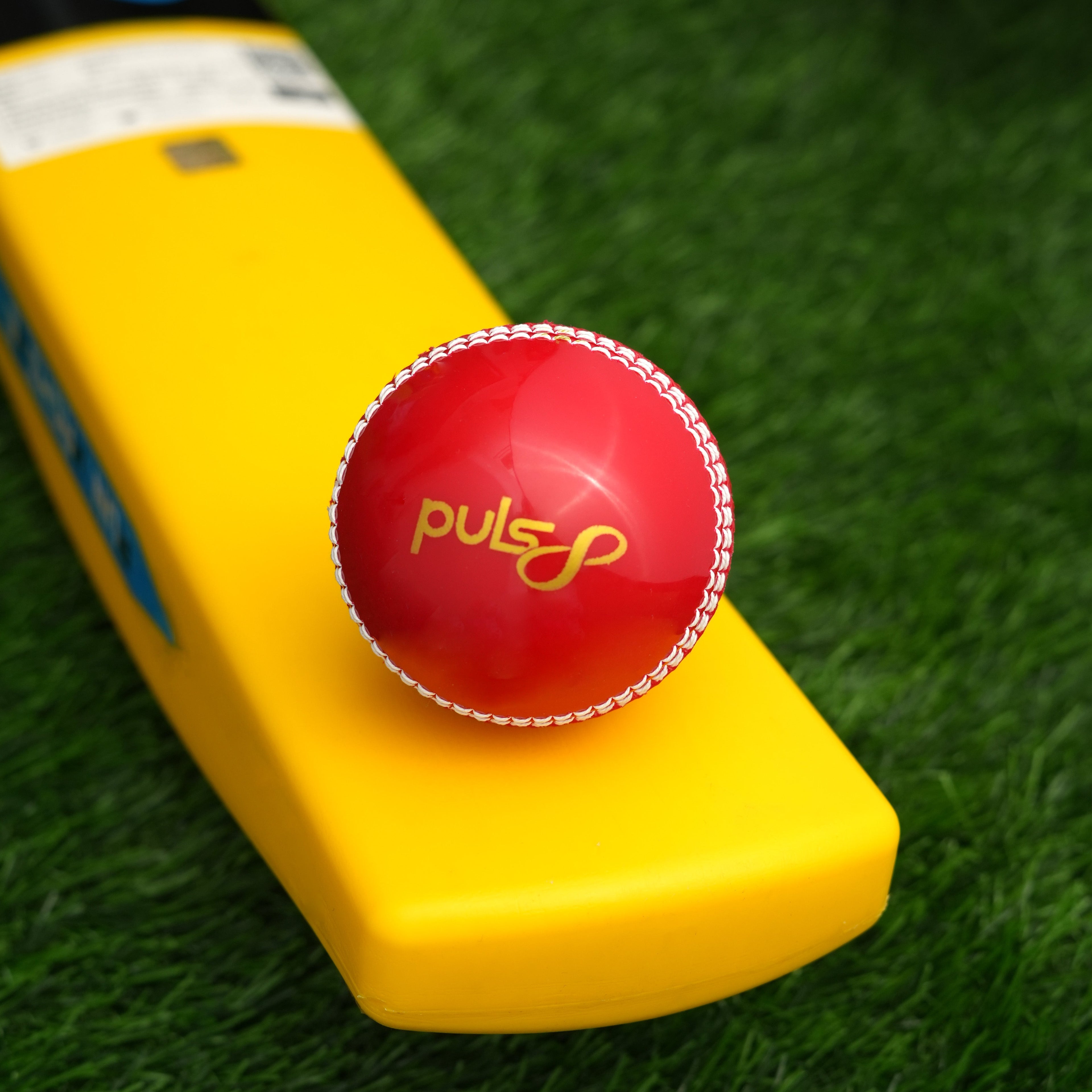 Puls8 Incredible Cricket Ball