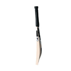 SF Ranger Plus 2 English Willow Cricket Bat
