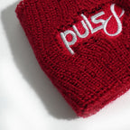 Puls8 Wristband