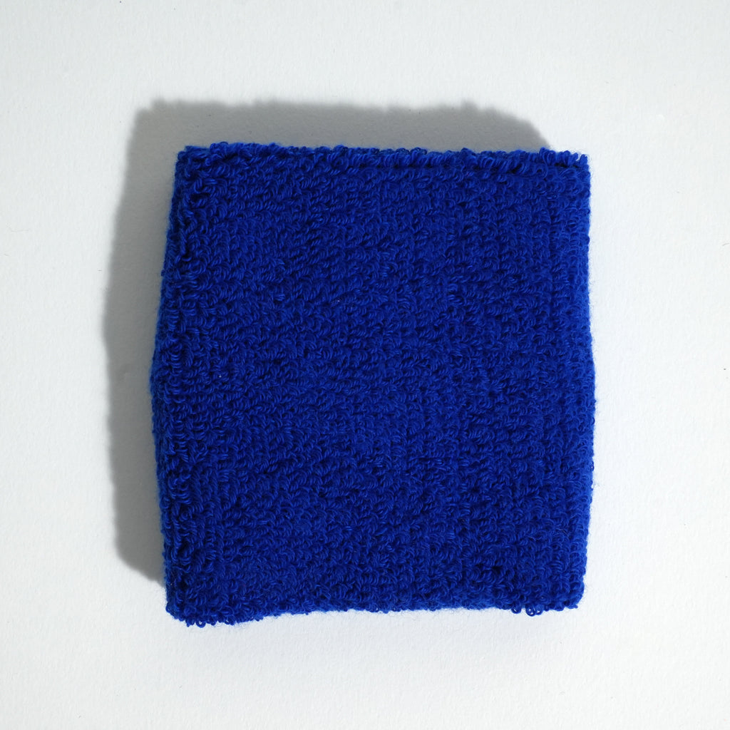 Puls8 Wristband