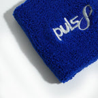 Puls8 Wristband