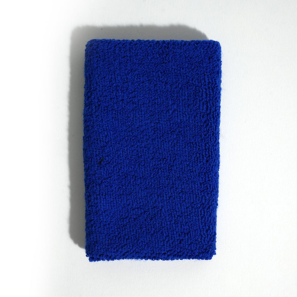 Puls8 Wristband