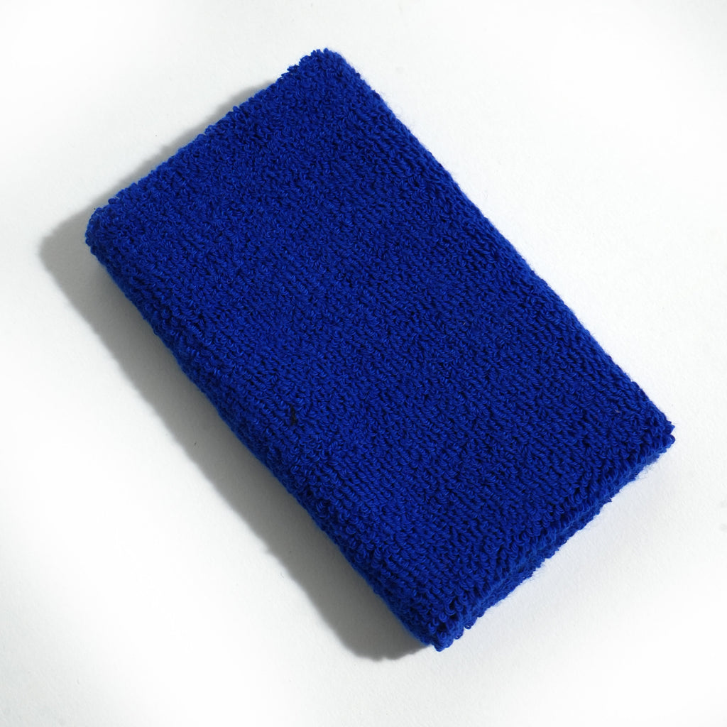 Puls8 Wristband