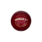 SG Shield 20 Cricket Ball