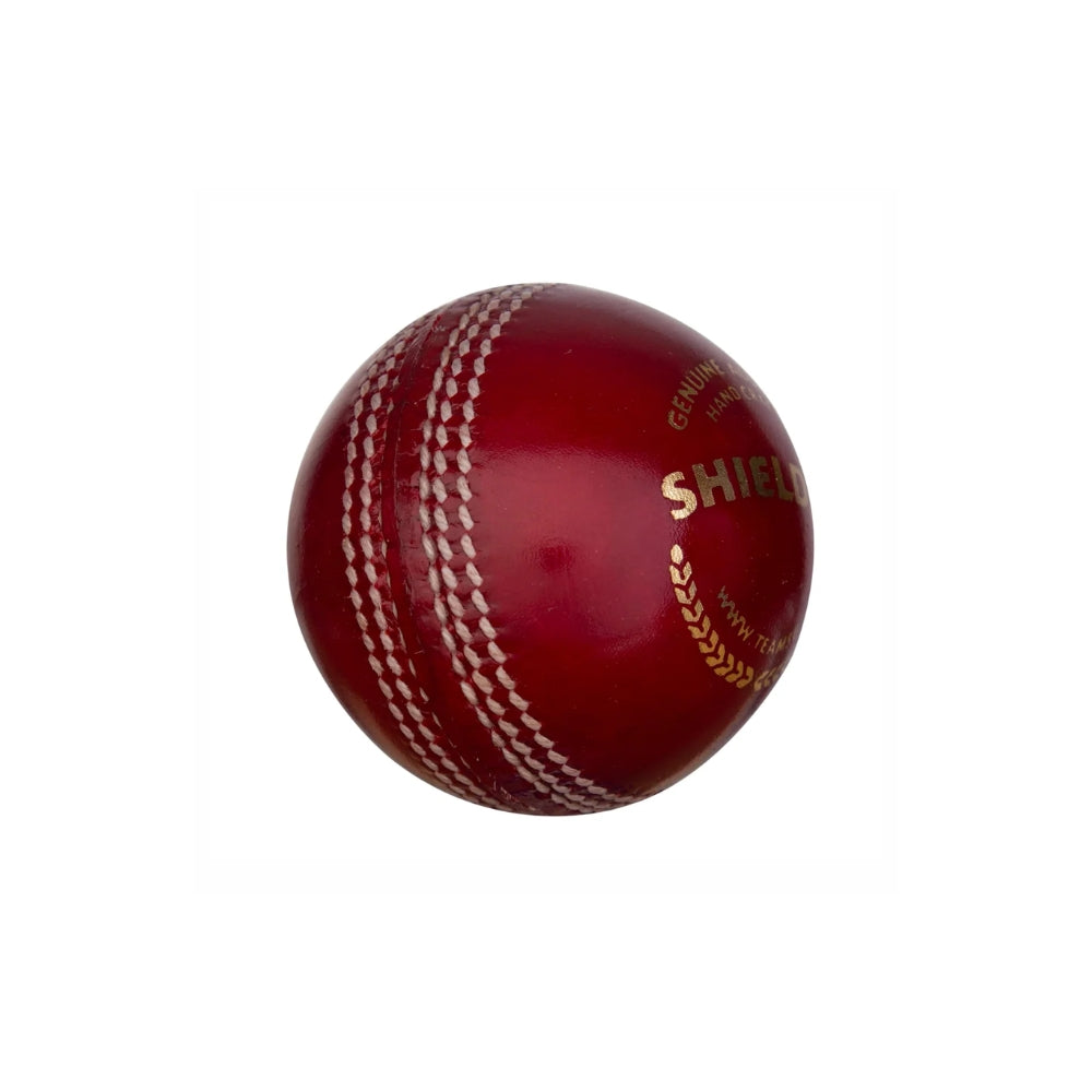 SG Shield 20 Cricket Ball