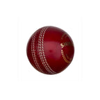 SG Shield 20 Cricket Ball