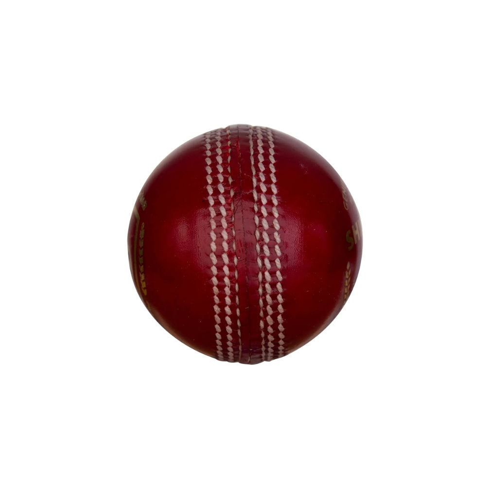 SG Shield 20 Cricket Ball