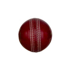 SG Shield 20 Cricket Ball