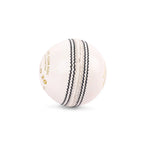 SG Shield 20 Cricket Ball
