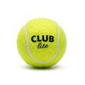 SG Club Lite Cricket Ball
