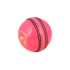 SG Club (Pink) Cricket Ball