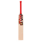 SS Ton Vertu English Willow Cricket Bat