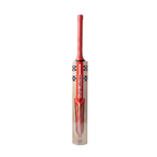 Gray-Nicolls Strike Force Astro Kashmir Willow Cricket Bat