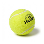 Headly Light Cricket Ball