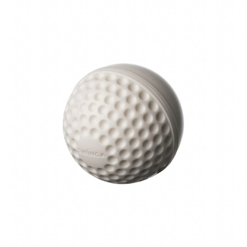 SG Swinga White Cricket Ball