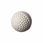SG Swinga White Cricket Ball