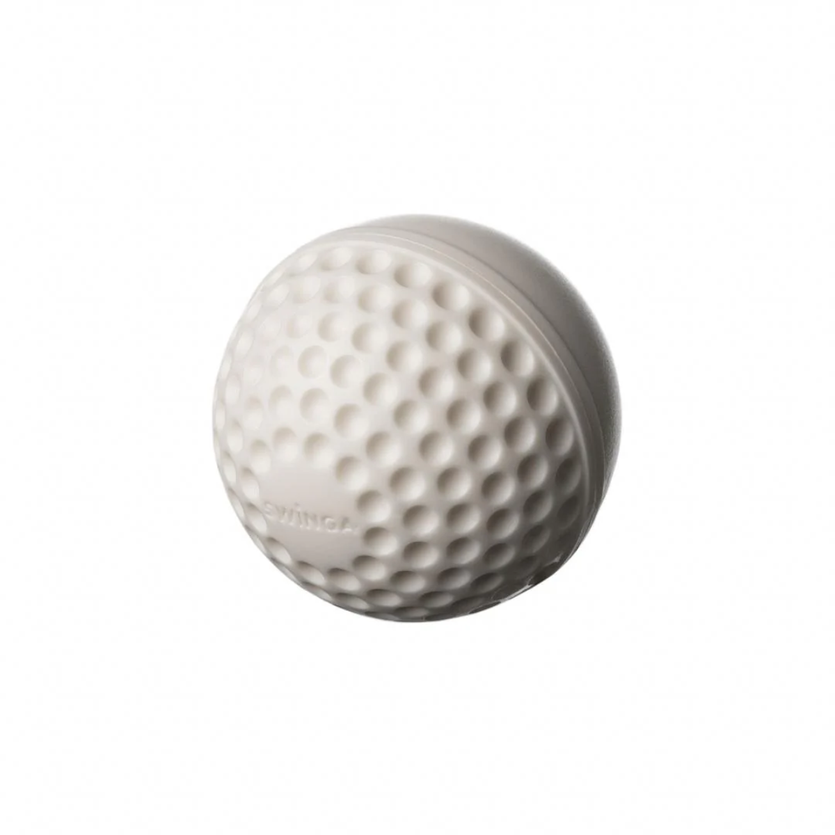SG Swinga White Cricket Ball