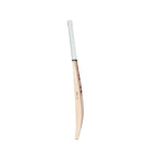 SG Arc 1.0 (Sunny Tonny) English Willow Cricket Bat