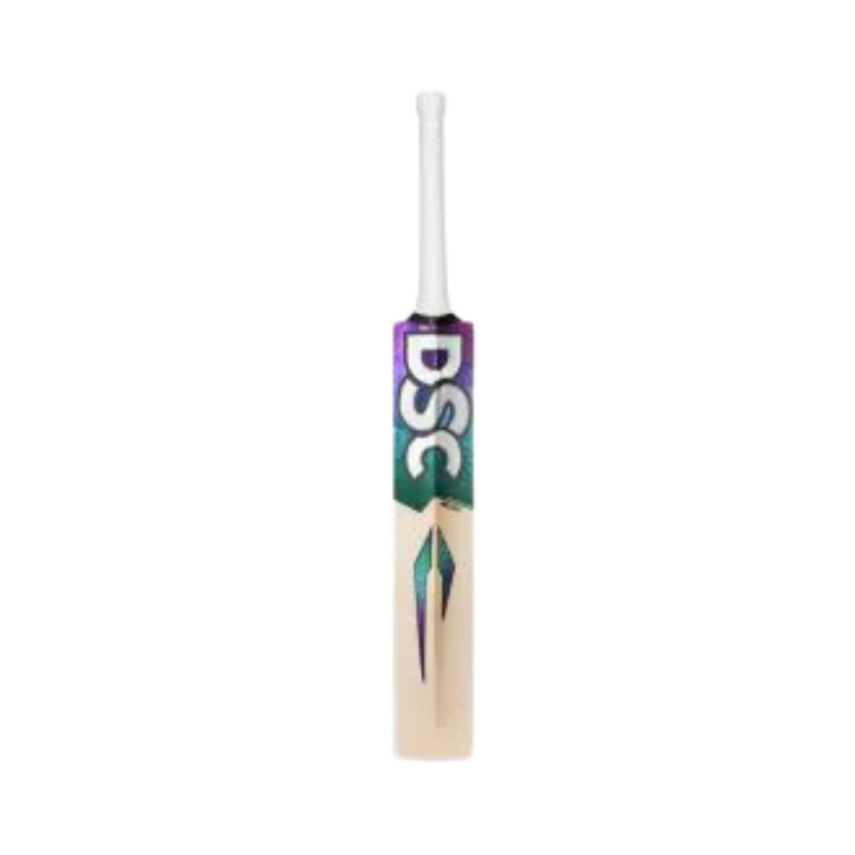 DSC RS 060 English Willow Cricket Bat
