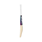DSC RS 060 English Willow Cricket Bat