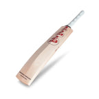 SG Arc 1.0 (Sunny Tonny) English Willow Cricket Bat