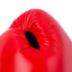 Everlast Elite Pro Style V2 Boxing Gloves