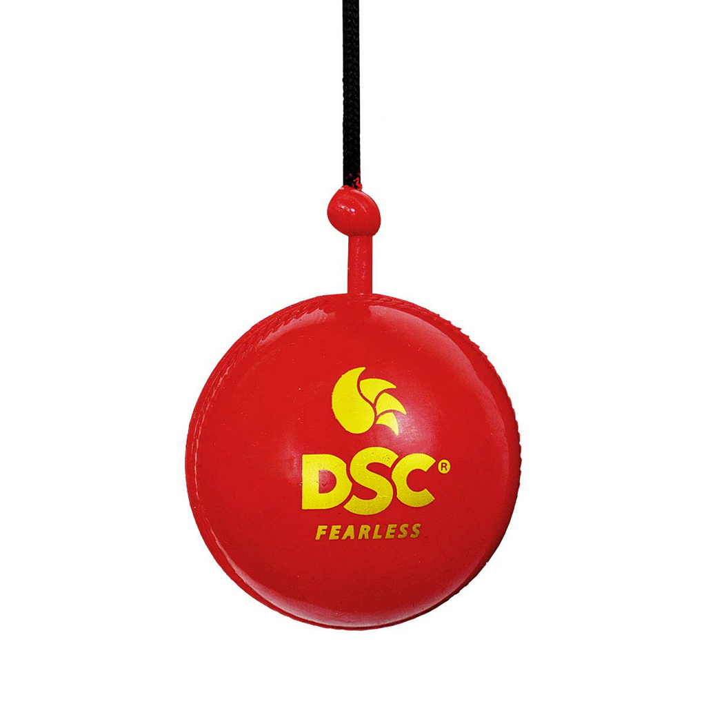 DSC Synthetic Hanging Ball Cricket Accessories