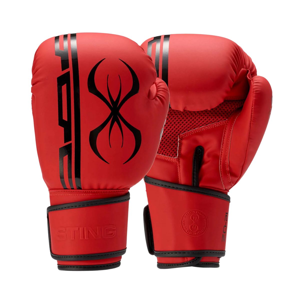 Sting Armaplus Boxing Gloves