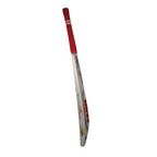 BDM Titanium English Willow Cricket Bat