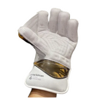 SS Limited Edition Cricket Keeping Gloves