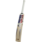SS World Cup 2026 English Willow Cricket Bat