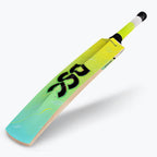 DSC Wildfire Warrior Kashmir Willow Cricket Bat (Tennis)