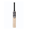 SS Tim David English Willow Cricket Bat