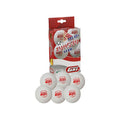 GKI Kung Fu 1 Star ABS40+ Table Tennis Ball