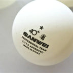 Sanwei Abs 1 Star One Table Tennis Ball