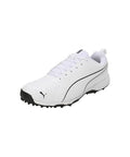 Puma Pitch Pro Cricket Shoes