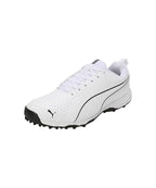 Puma Pitch Pro Cricket Shoes